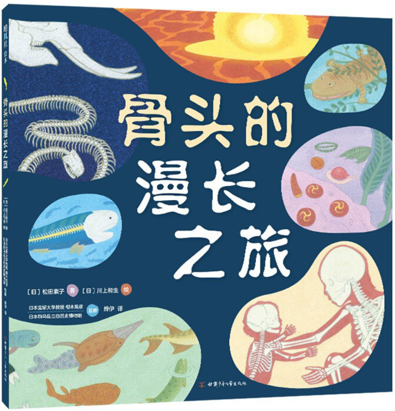 骨头的漫长之旅