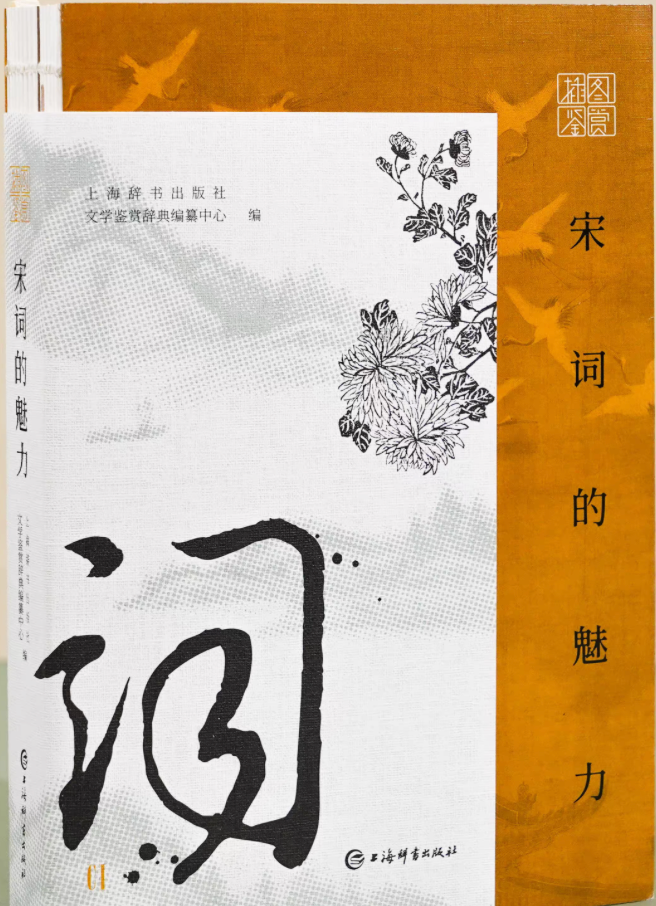 宋词的魅力