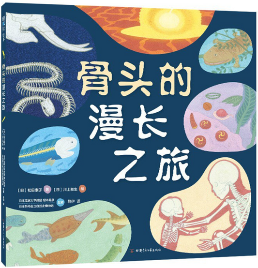 骨头的漫长之旅