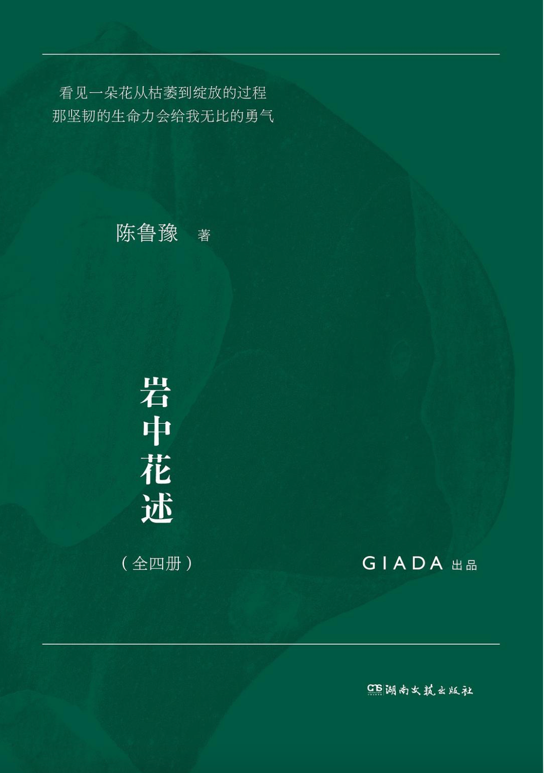 岩中花述（套装全四册）