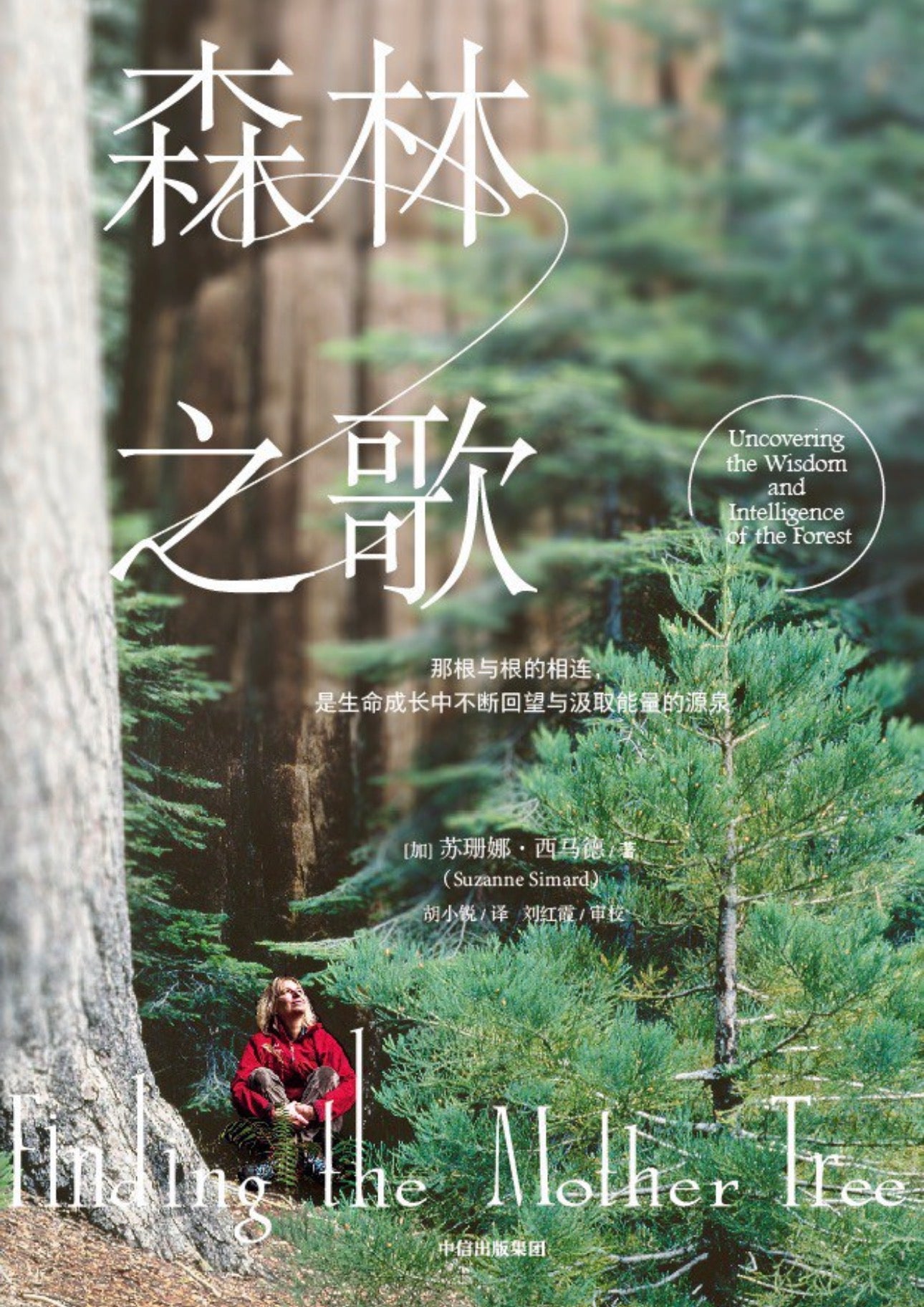 森林之歌