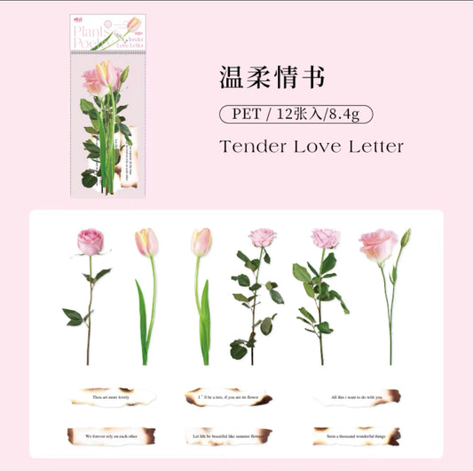 手帐贴纸｜手帐素材 植物与诗 温柔情书 贴画 3张