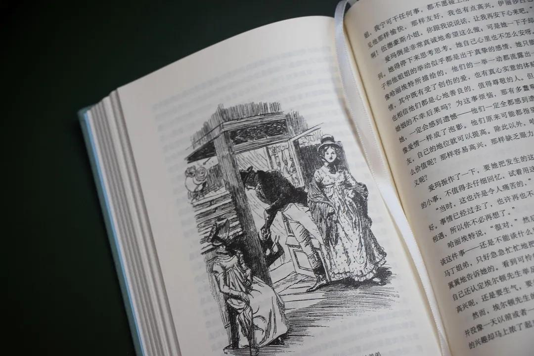 企鹅布纹经典｜简·奥斯丁作品（全6册）